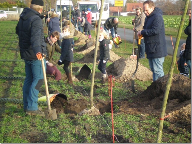 Pflanzaktion Rotary-Club Stemwede-Dümmer 009